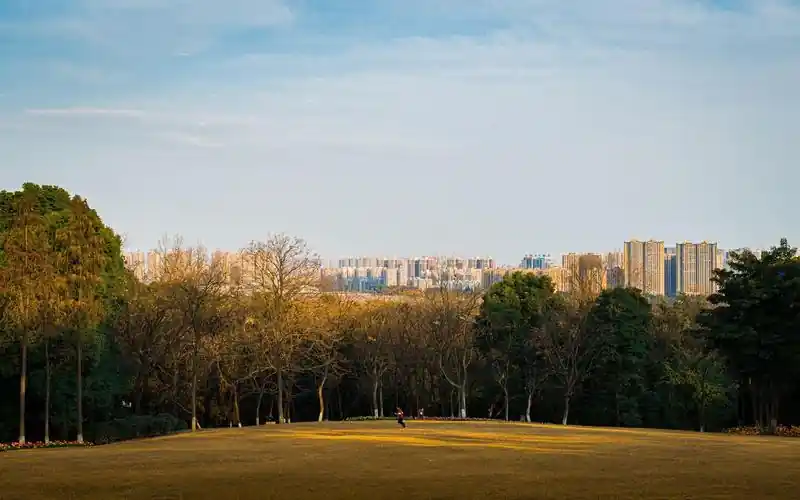 中级会计报名审核时间多久出结果