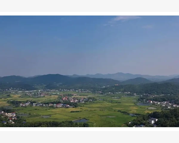 雪梨做果汁化痰，传统中医疗法的美味健康秘籍